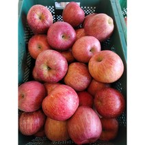 경북사과 부사 기스1 사이즈 20kg 15kg 10kg, 경북사과 부사 기스1 15kg