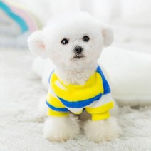 강아지 겨울 극세사 털옷 부드러운 기모 티셔츠 실내복, 블루