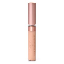 캔메이크 Cover &Stretch 컨실러 01 Light beige