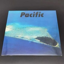 야마시타 타츠로 - Pacific(퍼시픽) 레코드 바이닐 엘피판 LP음반 정품, Pacific