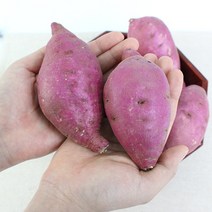 친환경팔도 [팔도농장] 세척 꿀 밤고구마 (상)5kg, 단품