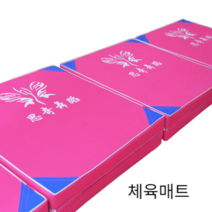 튼튼한 체육매트 고경도 스포츠 태권도 착지 운동, 이중 옥스포드 120*60*5cm그린