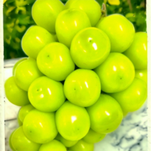 천상의맛 미친당도 18Brix이상 당도선별 완벽포장 샤인머스켓, 2kg (3~4수 특품), 1개