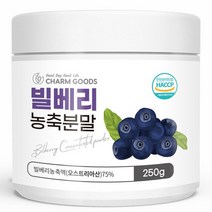빌베리 농축 분말 250g 1통, 상세설명 참조, 빌베리농축분말 250g 병