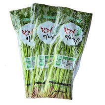 원동FS 국내산 청도 한재미나리 1단(200g내외), 1단, 200g