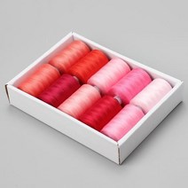 컴퓨터 자수 미싱 재봉실 자수 기계용 폴리에스터 세트 옵션 손 바느질 도구 10 가지 색상 야드/롤 40S/2, 09 09