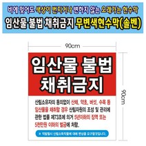 임산물 채취금지 무변색현수막 19호(솔벤) 90-90, 100cm-90cm, 1개