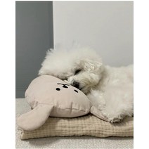 라클라우드침대 귀여운 애완동물 던지기 베개 깊은 잠 강아지 구름 실크 면 고양이 목 아기 허리 애완견 액세서리, [01] 42X17CM, [06] As The Picture Shows