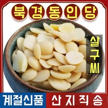 북경 동인당 야생 살구씨 한방차 한방재료 250g, 2봉