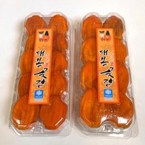 반건시곶감 대봉곶감 악양 대봉감 곶감_대과 10구, 상세페이지 참조