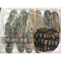랩쿡 크레이피쉬 민물가재 2팩 13-15미 + 21-25미(소스x), 2box, 13-15미 + 21-25미