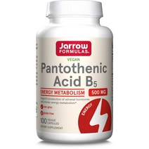 자로우 포뮬라 판토테산 B5 비타민B 500mg 베지캡슐 100정 비건 부신 칼슘, 1개