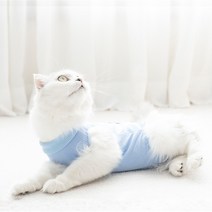 도튼 고양이 환묘 중성화복 수술복 중성화옷 그루밍방지, 블루