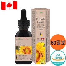 팜그린 프리미엄 프로폴리스 리퀴드 액상 오일 타입 구강 향균작용 도움 1일 2회 5방울씩 캐나다 직수입 비프로폴리스 플라보노이드 입안을 상쾌하게 관리하세요~, 2개, 30ml (1개월분)