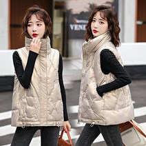 여성용 경량 롱 패딩 조끼 겨울 가을 여성 스탠드 칼라 솔리드 블랙 블루 여성 착실히 보내다 민소매 재킷 양복 따뜻한