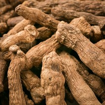 봉래 국산 볶은둥굴레(특품) 600g/둥글레차/자색돼지감자차/마카베리/오디 식품 > 건강식품 전통건강식품 기타전통건강식품/한방재료, 600g, 1″ class=”wr-img”></a></div>
</div>
</div>
</div>
<div class=