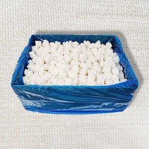 솔방울 오징어 10kg, 1개