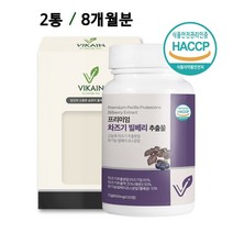 눈건강 프리미엄 국내산 차즈기 추출물 분말 가루 캡슐 정 루테올린 차즈기 차지기 차조기 눈엔 눈영양제 비카인 차즈기 유기농빌베리 추출분말 25배 고농축 일일권장 섭취량100%충족, 2, VIKAIN프리미엄정