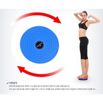 (니양몰) 15분 홈트 발바닥 지압 미끄럼방지 튼튼한 재질 잘록한 허리 지압효과 트위시트 허리 복부 운동기구, 퍼플