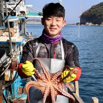 청정해역 남해 100% 선주 직송 최고급 돌문어 100% 환불 가능, 자숙 문어 700g-900g