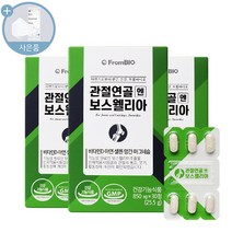 프롬바이오 관절연골엔 보스웰리아 + 씨오케이마스크 증정, 3box, 850mg