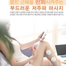 벤하임 휴대용 가정용 저주파 마사지기 어깨 허리 다리 목 무릎 손 발 다양한부위 미니 치료기
