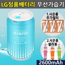 딜민트 초음파가습기 국산 LG배터리 미니가습기 휴대용가습기 차량용가습기 무선가습기, 모델명/품번본상품선택