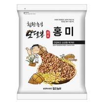 하동 악양 대봉감 [왕특 특대] 홍시로 먹는 대봉 국내산 산지직송, 1박스, 15kg 특대 (45과)