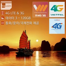베트남유심, 비나폰 (윈텔) 5일 데이터 무제한 택배, 1개