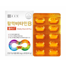 종근당 활력 비타민B 플러스 800mg x 60정, 상세페이지 참조, 상세페이지 참조