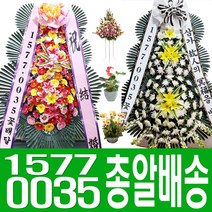 근조화환화환꽃배달 추천 TOP 90