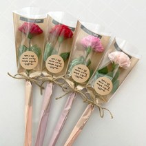 둥둥플라워 비누꽃 한송이 꽃다발 입학식 졸업식 수료식 시상식 행사 꽃선물, 레드 카네이션