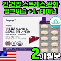 30대 남성 간 건강 기능 보조제 밀크티슬 엉겅퀴 뿌리 저하 40대 남자 활력 비타민 B군 엘 테아닌 L-테아닌 스트레스 해소 케어 긴장 완화 직장인 피곤할때 간에 좋은 영양제, 160정, 1개