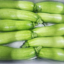 못난이 애호박 20개, 1개