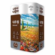 물에잘녹는 두루마리휴지 미래생활 내추럴 30롤 먼지없는 비데용 코스트코 홈쇼핑