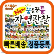 [전집] 뉴꿈틀꿈틀자연관찰/전84권 : 음원 필름 향기까지 입힌 놀라운 자연의 세계가 생생하게 담긴 전집, 톨스토이(전집)