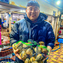 위쥬Sea 국내산 자연산 대합 개조개 뽀얀속살 생물 1kg 조개살, 2kg, 1박스