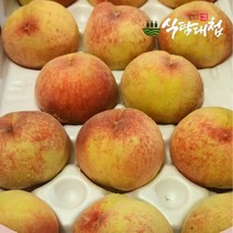 식탐대첩 국내산 딱딱이 복숭아 3kg 10-14과, 없음
