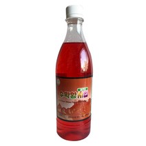 DH 슬러시 수박향 시럽 1병 1kg
