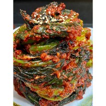 해남땅끝모녀반찬 갓김치, 1kg, 1개