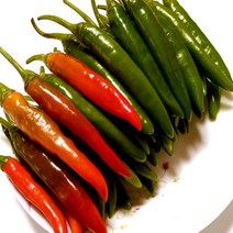 청양고추1kg, 5kg
