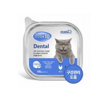 포르자10 건강캡슐10 고양이 기능성 습식사료 주식캔 간식캔 100g 5종, 1캔, 구강(Dental)