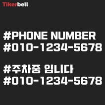 차량용 주차 전화번호 알림 판 전사 스티커 빌라, 레드, F타입