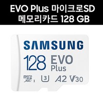 삼성전자 EZVIZ TY1 메모리카드 128G EVO Plus, 128GB