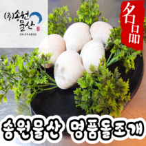 돌조개 제철 생물 1kg 캠핑용조개 구이용조개 찜용 탕 무침 고급돌조개 활돌조개, 1개