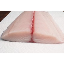 제주 삼치회 대사이즈 예약 분할판매 500g 한선 제주한림수산