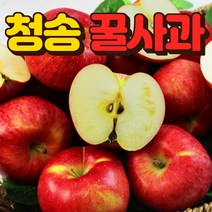 청송사과 꿀사과 10kg 5kg 3kg 부사 정품 청송사과, 청송사과5kg(23개내외)