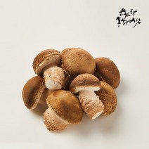 순천향 송화버섯 맛있는 국산 생 송화버섯 산지직송, 1box, 순천향 송화버섯 실속형: 500g