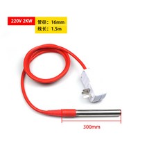 돼지 꼬리 히터 봉 디지털 전기 미니 온수기 뜨뜨봉 카페 dc 12v 24v 침수 카트리지, N.220V 2kw(1.5m)+ 스위치