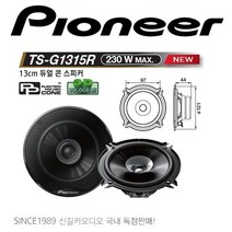 파이오니아 TS-G1315R 5.25인치 듀얼콘 스피커